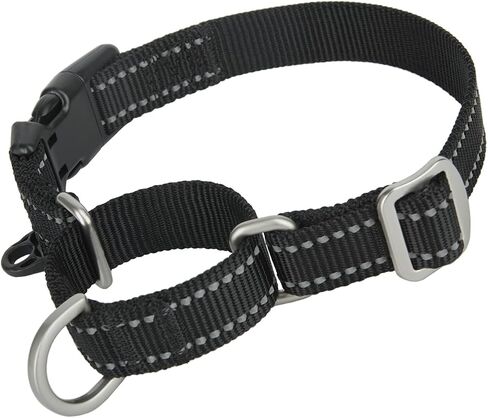 Martingale Collar Reflective Nylon Collar with Safety Quick Release Buckle,Escape-Proof Anti-Pull for Small Medium and Heavy Duty Dogs(Hotpink,M) in Saudi Arabia