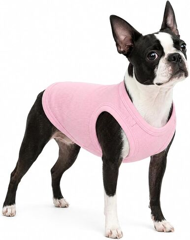 Lovelonglong 2019 Summer Pet Clothing, Dog Clothes Blank T-Shirts Ribbed Tanks Top Thread Vests for Large Medium Small Dogs 100% Cotton Black XXS in Saudi Arabia