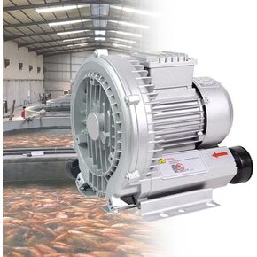 Multi-Use Regenerative Ring Pump High Pressure Vortex Blower Industrial High-Pressure Equipment，220V/380V Aeration Oxygenation Machine for Fish Ponds & Pools, Industrial Blower, 370W Regener in Kuwait