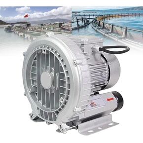 Multi-Use Regenerative Ring Pump High Pressure Vortex Blower Industrial High-Pressure Equipment，Electric Fish Pond Ring Blower - 110V/220V Regenerative Air Pump, 120W-1100W for Sewage Aerati in Kuwait