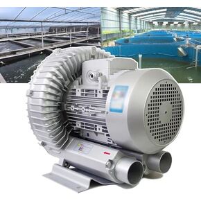 Regenerative Blower High-Pressure Vortex Ring Phase Blower Industrial Vacuum Pump,220V Regenerative Blower for Aquarium, Hydroponics & Pond Aeration - 1100W Electric Air Pump (1.48HP) for Se in Kuwait