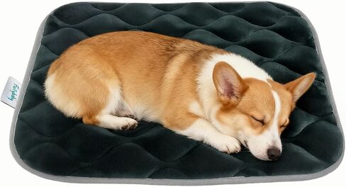 furrybaby Dog Bed Mat Flat Crate Mat with Anti-Slip Bottom Machine Washable Pet Kennel Pad for Dog Sleeping (XS 22x13'', Grey Mat) in Saudi Arabia