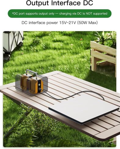 Starlink Mini Battery Adapter Compatible with DeWALT Batteries | Portable Power Dock for Starlink Mini, Supports Up to 4 Batteries for Uninterrupted Power, with Low Voltage Protection in Kuwait