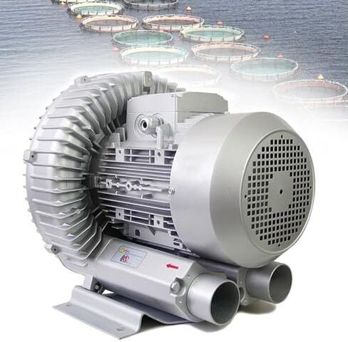 Multi-Use Regenerative Ring Pump High Pressure Vortex Blower Industrial High-Pressure Equipment，Compact High-Pressure Regenerative Blower for Efficient Airflow in Workshops and Small Factori in Kuwait