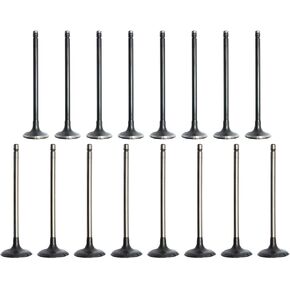 SecosAutoparts Exhaust Intake Valve Kit Compatible with Lexus CT200H 2011-2017 fit for TOYOTA PRIUS 1.8L 1798CC 2010 2011 2012 2013 2014 2015 2016 2017 2018 2019 2020 2ZR-FE 2ZR-FXE