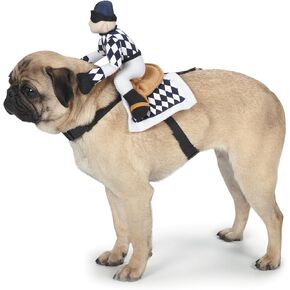 Zack & Zoey Show Jockey Saddle Dog Costume, Small
