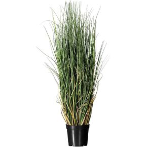 Vickerman 24" Tall PVC Artificial Potted Green Curled Grass Decor - Realistic Looking Greenery Decoration for Home Kitchen Business Office Arrangements