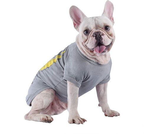 Star Wars for Pets The force Is Strong with This One Dog Tee | Star Wars Dog Shirt for Medium Sized Dogs | Size Medium | Soft, Cute, and Comfortable Dog Clothing and Apparel in Saudi Arabia