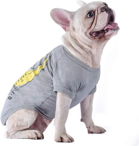 Star Wars for Pets The force Is Strong with This One Dog Tee | Star Wars Dog Shirt for Medium Sized Dogs | Size Medium | Soft, Cute, and Comfortable Dog Clothing and Apparel in Saudi Arabia