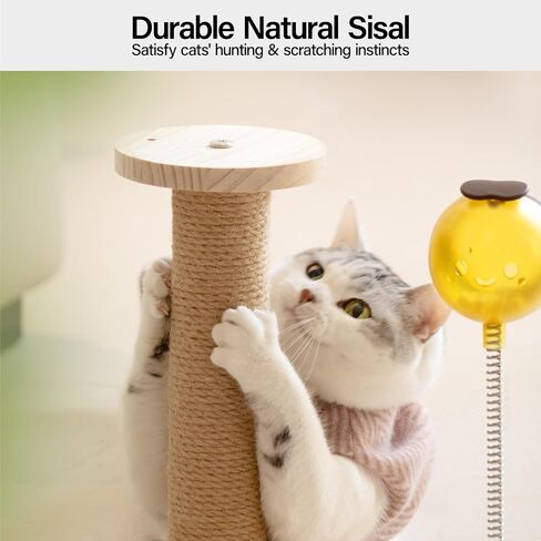 MEWOOFUN Cat Treat Dispenser Toy, Cat Treat Puzzle with Bees Cat Treat Ball, Cat Treat Toy with Cat Ball Track Toy, Cat Puzzle Feeder with Cat Scratching Post Small Cats & Kitten, Wooden in Saudi Arabia