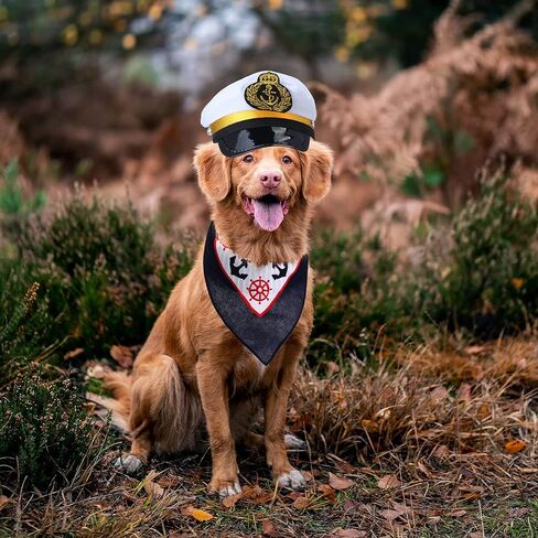 2 Pieces Pet Sailors Costume Accessory Set Dog Cat White Captain Hat with Anchor Bandana Scarf for Cat Puppy Navy Halloween Cosplay Costume Party Supplies (Set-C) in Saudi Arabia