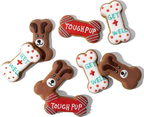 Thoughtfully Pets, Get Well Dog Cookies Gift Set, Crunchy Dog Treats Includes Colorfully Hand Decorated Get Well Themed Dog Biscuits to Brighten Their Day, Pack of 8 in Kuwait
