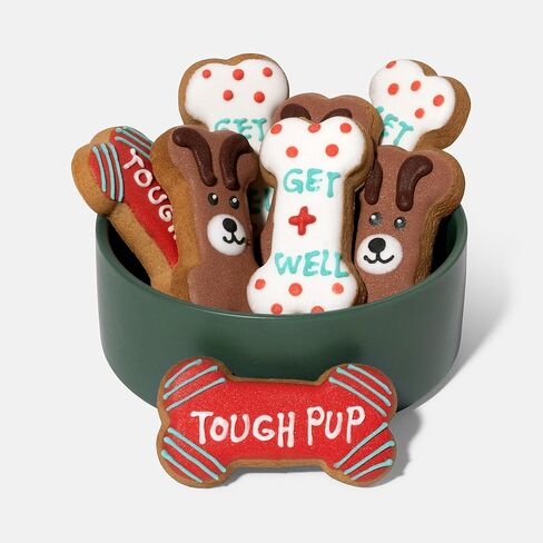 Thoughtfully Pets, Get Well Dog Cookies Gift Set, Crunchy Dog Treats Includes Colorfully Hand Decorated Get Well Themed Dog Biscuits to Brighten Their Day, Pack of 8 in Kuwait