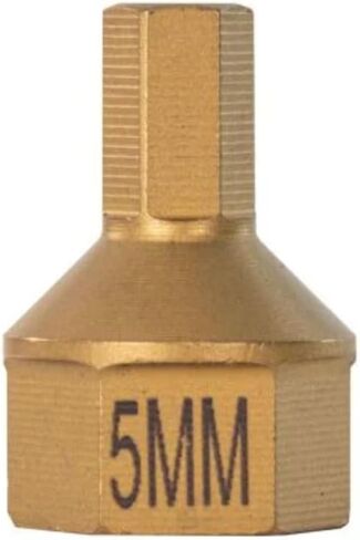 DUAL DRIVE-5 MM HEX BIT in Kuwait