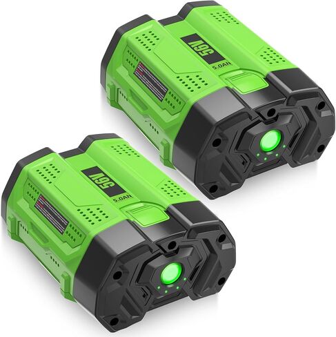 Upgraded 5.0Ah 2 Pack Rechargeable Battery Replacement for EGO 56V Battery Compatible with EGO 56 Volt Battery BA1400T BA1400 BA2800T BA2800 BA4200T BA4200 BA5600T BA5600 BA2242T BA3360T (Green) in Kuwait