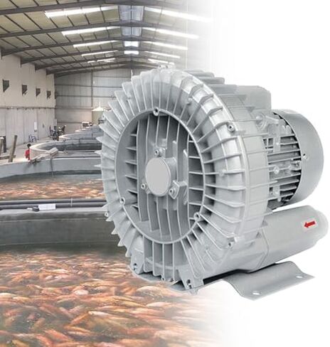 Regenerative Blower High-Pressure Vortex Ring Phase Blower Industrial Vacuum Pump,220V/380V Aeration Oxygenation Machine for Fish Ponds & Pools, 550W Industrial Regenerative Blower with Dust in Kuwait