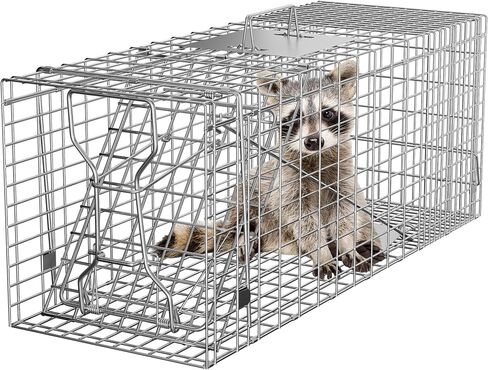 32" X 12" X 12.5" Large Live Animal Trap Cage Humane One-Door Solid Steel Catch and Release Rodent Cage for Raccoon, Rabbits, Stray Cats, Squirrel, Groundhogs, Opossums, Armadillos in Kuwait