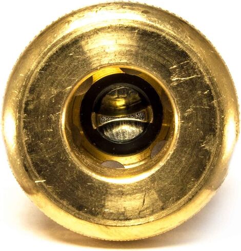 Foster 5 Series - Automatic Coupler with Sleeve Lock, 1/2" Body, 1/2" NPT - Industrial Interchange (SL5205) in Kuwait