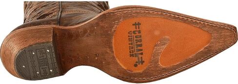 Corral Women's Chocolate Lizard Inlay Snip Toe Cowgirl Boots C2118 (11 B(M) US) in Kuwait