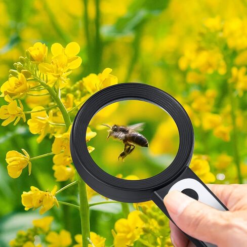 Handheld Magnifying Glass with Light, 30X 4IN Large Lighted Magnifier Glasses 18 LED 3 Modes Illuminated Magnify Lens for Seniors Rreading Book Macular Degeneration Coins Jewelry Kid Hobby Gifts in Saudi Arabia