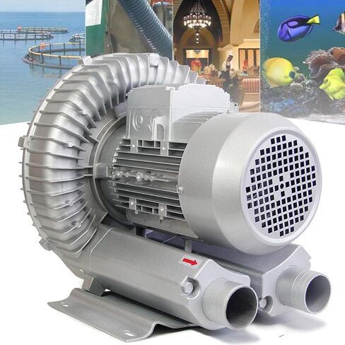 High-Pressure Regenerative Vortex Blower,High-Pressure Vortex Ring Blower for Fish Tank Single Phase Regenerative Blower，（370W/0.50HP） in Kuwait