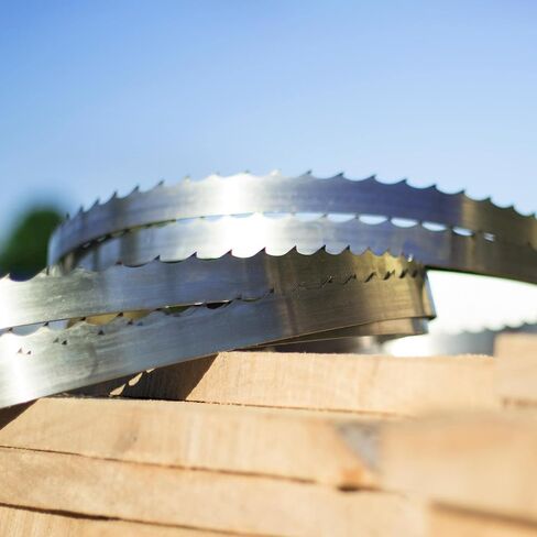 Wood-Mizer 171" Sawmill Bandsaw Blades 5-Pack - DoubleHard 10° All-Purpose Sawing in Kuwait