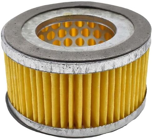 Interstate Pneumatics SA13F Compressor Air Paper Filter ELEMENT ONLY for SA13 in Kuwait