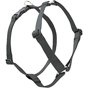 LupinePet Basics 3/4" أسود 20-32" حزام كلب روماني قابل للتعديل للكلاب المتوسطة in Kuwait