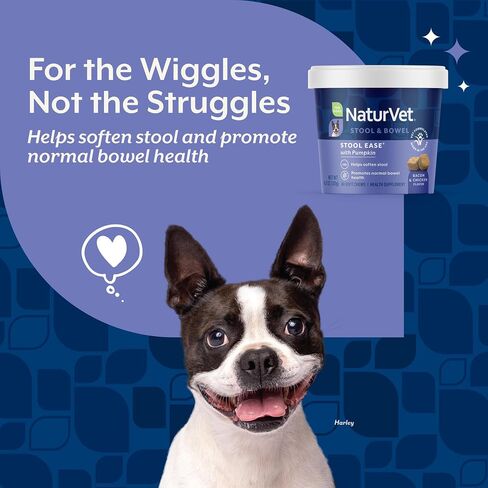 NaturVet – Stool Ease for Dogs – 40 Soft Chews – Helps Maintain Regular Bowel Movements – Enhanced with Sugar Beet Pulp, Flaxseed & Psyllium Husk – 40 Day Supply in Saudi Arabia