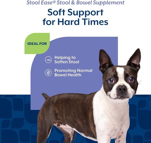 NaturVet – Stool Ease for Dogs – 40 Soft Chews – Helps Maintain Regular Bowel Movements – Enhanced with Sugar Beet Pulp, Flaxseed & Psyllium Husk – 40 Day Supply in Saudi Arabia