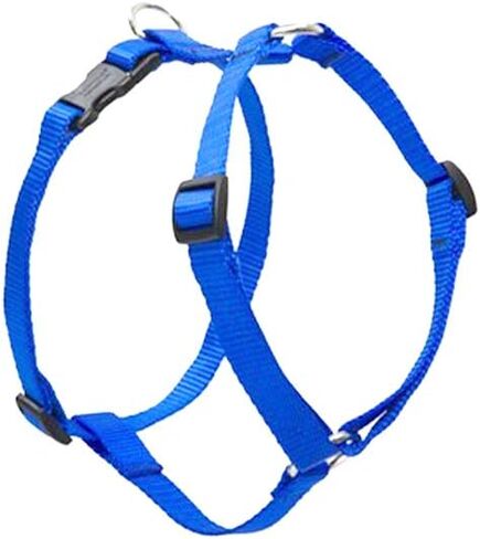 LupinePet Basics 3/4" أزرق 20-32" حزام كلب روماني قابل للتعديل للكلاب المتوسطة in Kuwait