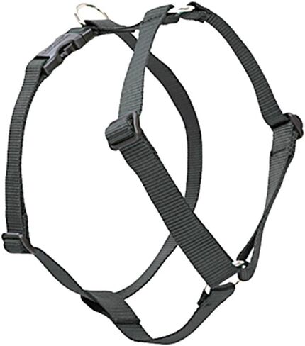 LupinePet Basics 3/4" أسود 20-32" حزام كلب روماني قابل للتعديل للكلاب المتوسطة in Kuwait