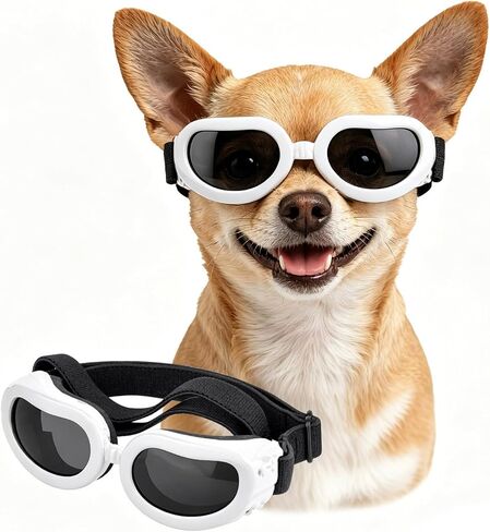 Dog Sunglasses Small Breed, UV Protection Small Dog Goggles, Wind Dust Proof Small Goggles with Adjustable Straps, Clear in Kuwait