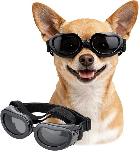 Dog Sunglasses Small Breed, UV Protection Small Dog Goggles, Wind Dust Proof Small Goggles with Adjustable Straps, Clear in Saudi Arabia