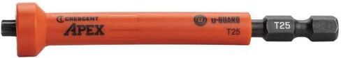 Apex - Bit, Ug 3.5" Ring Mag T25, 2Pk (CAUMB3BT25) in Kuwait