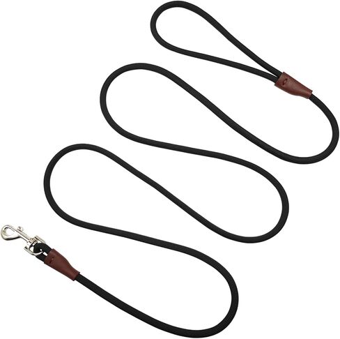 Small Dog Leash, 1/4" by 6/8/10 FT Lightweight Strong Nylon Rope Leash, Bright Classic Leash for Small Pets/Puppy/Cat (6ft, Purple) in Saudi Arabia
