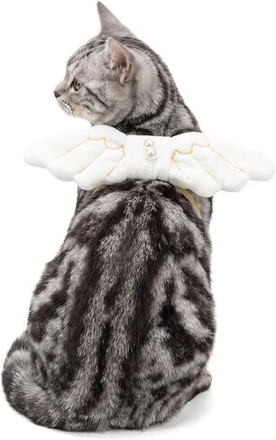 FLAdorepet Pet Dog Angel Wings Halloween Cat Costume for Small Medium Dog (One Size, White) in Kuwait