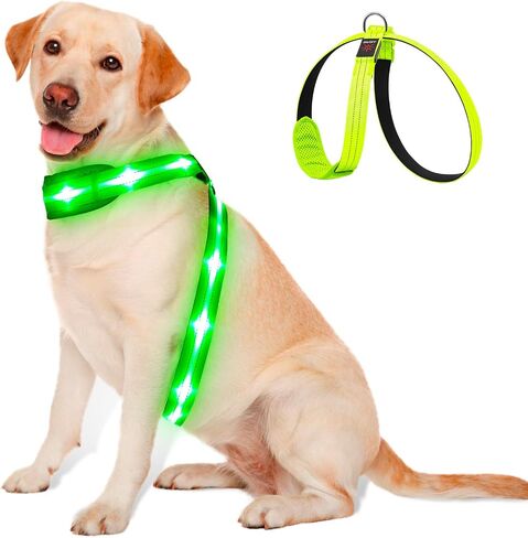 Light Up Dog Vest Harness Rechargeable, Adjustable & Reflective LED Lighted Dog Harness, Glow Dark Dog Light Harness for Night Safety Walking, Green Extra Large in Kuwait