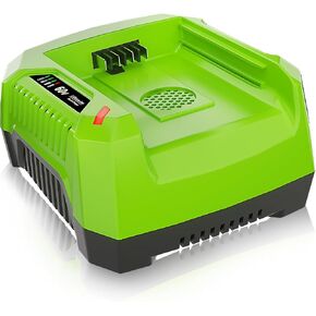 6A Rapid Charger Replacement for Greenworks Pro 60V Battery Charger Compatible with Greenworks Pro 60V Battery in Kuwait