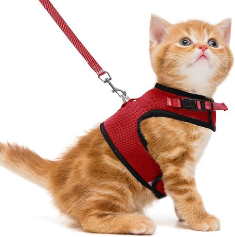 PUPTECK Soft Mesh Cat Vest Harness and Leash Set Puppy Padded Pet Harnesses Escape Proof for Cats Small Dogs Rabbits Bunny(Small, Black) in Kuwait