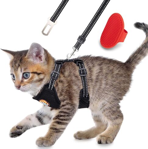 AWOOF Reflective Kitten Harness and Leash Escape Proof with Car Seat Belt, Adjustable Cat Puppy Walking Jacket with Metal Leash Ring, Soft Breathable Small Pet Vest (M) in Saudi Arabia