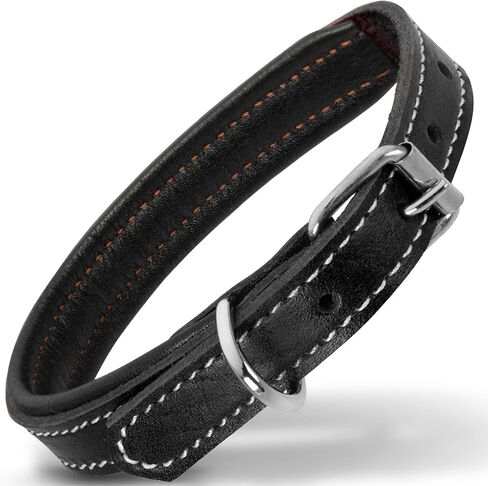 Leather Dog Collar, Genuine Leather Collar for Medium Dogs, Premium, Luxury Padded, Strong, Adjustable for All Breeds, Heavy Metal Buckle, Ultra-Durable, Blue in Saudi Arabia