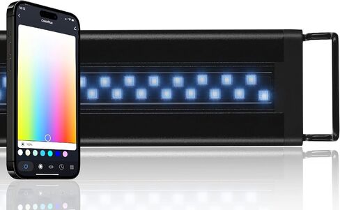 CURRENT USA ColorPlus Smart Freshwater Aquarium & Terrarium LED Light with App and Voice Control | Alexa & Google Home Compatible | Extra Vivid Colors for Fish Tank| Aluminum (for Tanks 24" to 35") in Kuwait