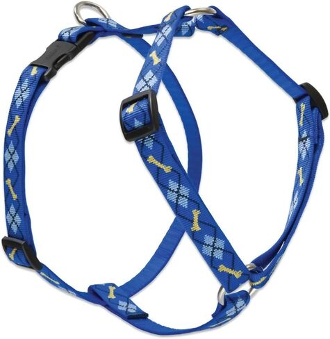 LupinePet Originals 3/4 "Dapper Dog 14-24" حزام كلب روماني قابل للتعديل للكلاب المتوسطة in Kuwait