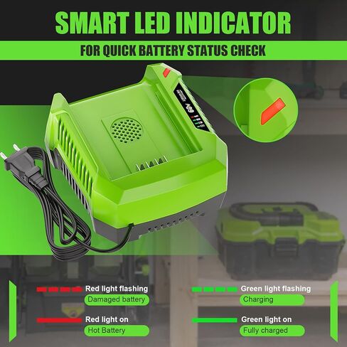 6A Rapid Charger Replacement for Greenworks Pro 60V Battery Charger Compatible with Greenworks Pro 60V Battery in Kuwait