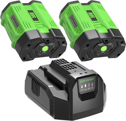 2 Packs 5Ah BA2800T Battery Replacement for EGO 56V Battery BA2800(Green) | Compatible with EGO 56 Volt Batteries BA4200T BA4200 BA5600T BA5600 BA1400T BA1400 in Kuwait