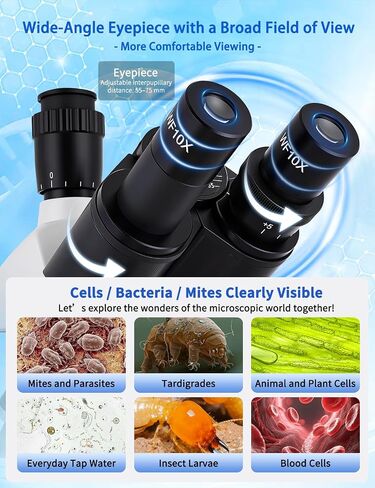 Microscope for Adult,7'' HD Display,with WF10x/25x Eyepieces,40-5000X Magnification,Dual Mechanical Stages and Abbe Condenser,Includes 40*specimens,Suitable for Labs and Schools (wihte) in Kuwait