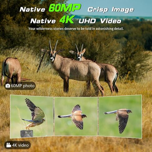 Trail Camera Solar Powered - 4K 60MP WiFi Game Camera, 0.1s Trigger, 7800mAh Forever Power, 65FT Detection, Low Glow Night Vision, IP66 Waterproof, 32GB Included for Wildlife Monitoring in Kuwait