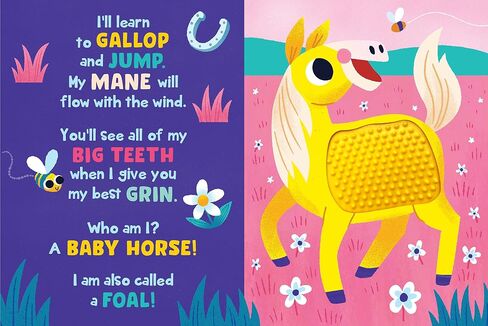 Baby Farm Animals - Silicone Touch and Feel Board Book - Sensory Board Book in Kuwait