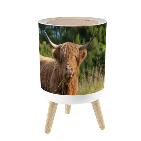 Small Trash Can with Lid Boho Nursery Playroom Kids Baby Bedrooms Rainbow 1.8 Gallon/7L Garbage Can Waste Bin with Press Top Lid Legs Waste Basket for Bathroom Kitchen Bedroom in Kuwait